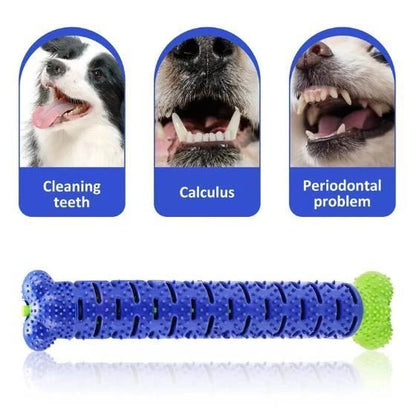 2 In 1 Chew Toy And Dental Care Stick