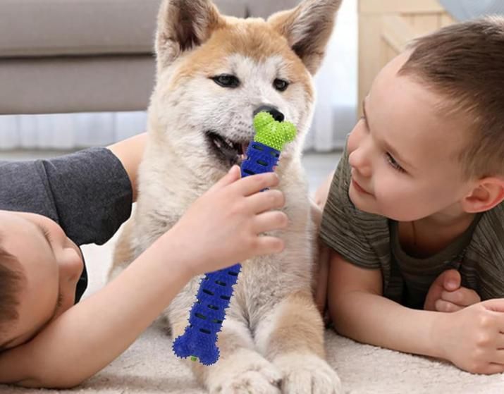 2 In 1 Chew Toy And Dental Care Stick